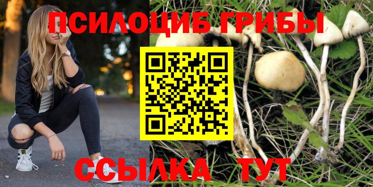 Псилоцибиновые грибы Magic Shrooms  Вход с VPN  Конаково 
